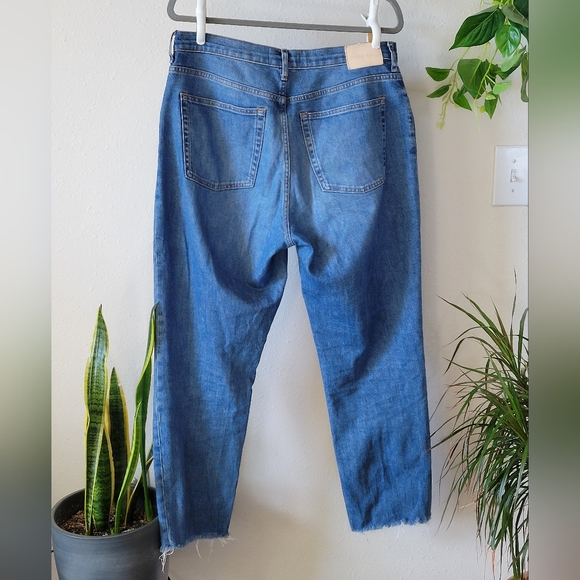 Everlane The Cheeky Jean Raw Hem Size 31 Regular - Picture 2 of 6